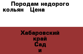 Породам недорого кольян › Цена ­ 1 000 000 000 - Хабаровский край Сад и огород » Ёмкости   . Хабаровский край